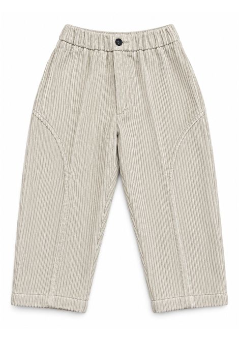 Pantaloni a coste MICHAEL COAL | CHARLIE 5006009
